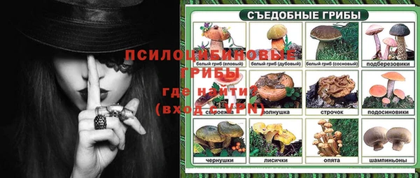 дживик Дмитриев