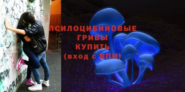 дживик Дмитриев